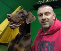 Pink Collar, a female Doberman Pinscher for sale in Binger, OK – Photo 7 of 10