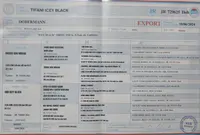 Light Green, a male Doberman Pinscher for sale in Binger, OK – Photo 5 of 10