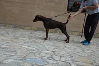 processed/c7a2ddc9-94df-4a74-85c1-bf1b03cec1b2/listing/cd7e9e50-e774-4b32-9753-0cd63bb57cbe/034e1368-a6fb-4545-99da-2a3b772e3829