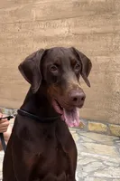 processed/c7a2ddc9-94df-4a74-85c1-bf1b03cec1b2/listing/cd7e9e50-e774-4b32-9753-0cd63bb57cbe/2ac1da1d-8761-4f3d-92ae-93a3654479f5