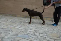 processed/c7a2ddc9-94df-4a74-85c1-bf1b03cec1b2/listing/cd7e9e50-e774-4b32-9753-0cd63bb57cbe/72a0ddaa-1c01-45fa-b8c2-d60e9c7a0605