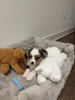 processed/c7a5bfa4-db0e-4469-9c23-40388b143a60/listing/749b2d2c-0bf9-458a-b9a5-9b78e7e8f0fb/8fba7d64-fb77-4889-9e9e-a543f8bb8c0b