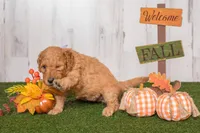 processed/c7ac1bb3-4667-4e4a-9cb3-d87bc62e0cf3/facility/14ae8ffc-e50f-4cb1-89db-dbc21401a829