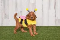 processed/c7ac1bb3-4667-4e4a-9cb3-d87bc62e0cf3/facility/2d9d1e7a-14d0-47bd-9aa9-38ef00b45f04