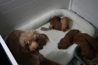 processed/c7ac1bb3-4667-4e4a-9cb3-d87bc62e0cf3/facility/64c7fbe5-4058-4bb6-9230-5aaf529ee550