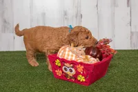 processed/c7ac1bb3-4667-4e4a-9cb3-d87bc62e0cf3/facility/952e23d1-ee5d-4877-b859-b12bdd31ec06