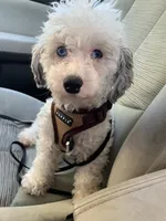 processed/c7ac1bb3-4667-4e4a-9cb3-d87bc62e0cf3/facility/9de7a626-f34f-4ba0-9ccb-e0ba0f2f7ef5