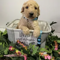 Facility photo
