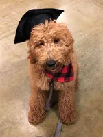 processed/c7ac1bb3-4667-4e4a-9cb3-d87bc62e0cf3/facility/e8ade2cd-235a-4ff4-8d0d-f6127a852439