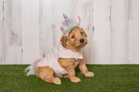 processed/c7ac1bb3-4667-4e4a-9cb3-d87bc62e0cf3/facility/f8a3d2ed-d30c-4a17-a3c9-0cda97bf9ae0