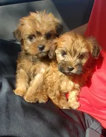 processed/c7b2c442-09ed-4d95-8a0d-c22aa20f00a8/facility/de147052-1c19-4732-80ac-902fd13ec5ad