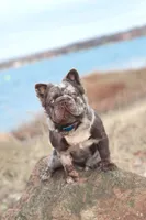 processed/c7b8268c-318a-49d4-a6c3-734ce85955c2/listing/a0c502ef-39a4-4c67-802e-cbb7e413f737/1c45fd0a-4ff0-4d7f-824b-f2c247e90adb