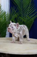 processed/c7b8268c-318a-49d4-a6c3-734ce85955c2/listing/a0c502ef-39a4-4c67-802e-cbb7e413f737/88d51e0b-6558-4dd8-b851-18a4964337c4