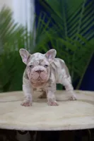 processed/c7b8268c-318a-49d4-a6c3-734ce85955c2/listing/a0c502ef-39a4-4c67-802e-cbb7e413f737/d908c184-52c3-4b5c-a26a-3e39a13de8ad