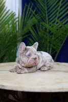 processed/c7b8268c-318a-49d4-a6c3-734ce85955c2/listing/a0c502ef-39a4-4c67-802e-cbb7e413f737/da1aa9a0-0117-4cbe-8a55-41cc87a01e48