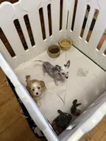 processed/c7bbecfb-6679-44fd-b43b-b2dd6008aa4f/listing/769eca91-ff7f-4200-9309-29f8c71c5114/12c20d2e-4d0a-4827-b09c-2292ad93ef3d