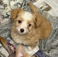 processed/c7bbecfb-6679-44fd-b43b-b2dd6008aa4f/listing/769eca91-ff7f-4200-9309-29f8c71c5114/66aface5-7e61-4fed-8ba5-5ae3ca6177fb