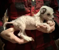 processed/c7bbecfb-6679-44fd-b43b-b2dd6008aa4f/listing/ff905d71-8f6e-406d-9e66-0baaeb99f076/454066d9-a44c-43f6-8214-81fb49a24aba