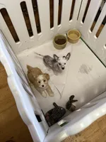 processed/c7bbecfb-6679-44fd-b43b-b2dd6008aa4f/listing/ff905d71-8f6e-406d-9e66-0baaeb99f076/64efbd53-fefc-4d74-803d-7b5e954fd5aa