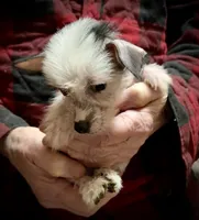 processed/c7bbecfb-6679-44fd-b43b-b2dd6008aa4f/listing/ff905d71-8f6e-406d-9e66-0baaeb99f076/6f7ad15f-9447-48e9-8f27-48f010265413