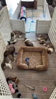 Facility photo