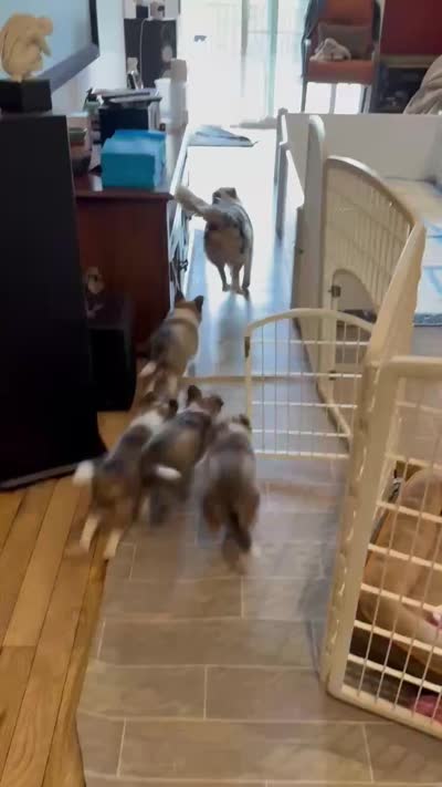 Facility video