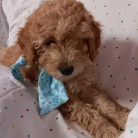 processed/c7c79ad4-8ea7-411c-b965-c43274654b65/facility/3ae66b00-338f-4ea2-acea-111e147e33c4