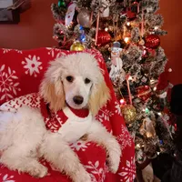 processed/c7c79ad4-8ea7-411c-b965-c43274654b65/facility/4a4aa653-9b4d-4e94-ad08-60a13d9d7f7a