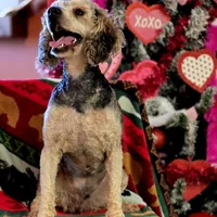 processed/c7c79ad4-8ea7-411c-b965-c43274654b65/facility/63030909-6a89-4241-a81a-3bff0c3ba793