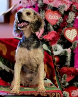 processed/c7c79ad4-8ea7-411c-b965-c43274654b65/facility/63030909-6a89-4241-a81a-3bff0c3ba793