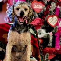 processed/c7c79ad4-8ea7-411c-b965-c43274654b65/facility/a902bcf5-2471-4378-a9ca-6356763d52f7