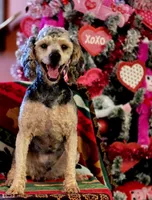 processed/c7c79ad4-8ea7-411c-b965-c43274654b65/facility/a902bcf5-2471-4378-a9ca-6356763d52f7