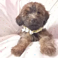 processed/c7c79ad4-8ea7-411c-b965-c43274654b65/facility/a9470e8e-57b3-4ea3-a818-fdb6daf465af