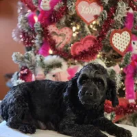 processed/c7c79ad4-8ea7-411c-b965-c43274654b65/facility/eaf9193b-aa0e-4ab9-87cd-25ceb122170a