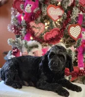 processed/c7c79ad4-8ea7-411c-b965-c43274654b65/facility/eaf9193b-aa0e-4ab9-87cd-25ceb122170a