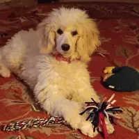 processed/c7c79ad4-8ea7-411c-b965-c43274654b65/facility/f8c3149f-8203-4ac3-9fc3-13f1acfa39ab