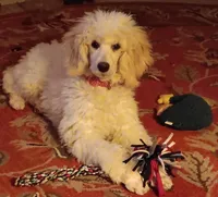 processed/c7c79ad4-8ea7-411c-b965-c43274654b65/facility/f8c3149f-8203-4ac3-9fc3-13f1acfa39ab