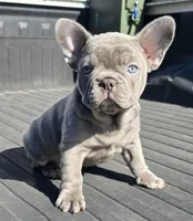 processed/c7cebdcb-20cf-4e25-b7b2-ee34e271b4c9/listing/8ca88b70-2aea-4ab2-9ac1-fb8235fc4ac2/d3869ff8-95eb-4172-b410-ae36c546a5a7