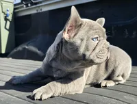 processed/c7cebdcb-20cf-4e25-b7b2-ee34e271b4c9/listing/8ca88b70-2aea-4ab2-9ac1-fb8235fc4ac2/d7faa3a6-ad0f-4b90-8f8b-5b6f33a0cb6a