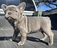 processed/c7cebdcb-20cf-4e25-b7b2-ee34e271b4c9/listing/8ca88b70-2aea-4ab2-9ac1-fb8235fc4ac2/f025e5a3-06ed-4fd2-99a1-4bf83062fda6