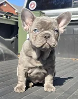 processed/c7cebdcb-20cf-4e25-b7b2-ee34e271b4c9/listing/8ca88b70-2aea-4ab2-9ac1-fb8235fc4ac2/face57ea-ac3e-4072-871f-d8456770fe32