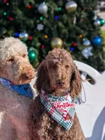 processed/c7d48be6-ccdb-4bf6-a89b-503851729fb5/listing/88eeccf4-b271-4ca0-95bf-f80661a47e12/5986a5f5-85ba-4178-a7f2-48fdbcdf1bc0