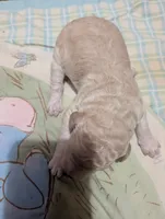 processed/c7d48be6-ccdb-4bf6-a89b-503851729fb5/listing/91877f6f-a050-4089-ac18-1b3f2239cd60/0a191c81-f258-436a-90f1-bad4cb16227d