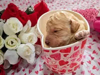 processed/c7d48be6-ccdb-4bf6-a89b-503851729fb5/listing/91877f6f-a050-4089-ac18-1b3f2239cd60/b0d9b9d4-8861-4ac0-a930-450245f2e639