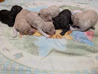 processed/c7d48be6-ccdb-4bf6-a89b-503851729fb5/listing/91877f6f-a050-4089-ac18-1b3f2239cd60/fefdbbe5-f83a-40f4-afb2-fafc198a7a31