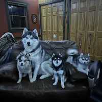 processed/c7d54862-b778-429e-9364-b1d4ef2a02d7/facility/a7254202-0e47-4294-98d7-8188d650f6f3