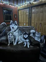 processed/c7d54862-b778-429e-9364-b1d4ef2a02d7/facility/a7254202-0e47-4294-98d7-8188d650f6f3