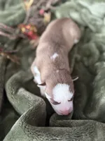 processed/c7d54862-b778-429e-9364-b1d4ef2a02d7/listing/40533454-0eb8-4cd7-96e6-55d27a1c67a8/0ebe9f48-81d3-4377-949d-de8f6445d100