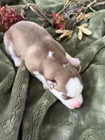 processed/c7d54862-b778-429e-9364-b1d4ef2a02d7/listing/40533454-0eb8-4cd7-96e6-55d27a1c67a8/4f269329-f734-4e30-8fe9-06d7421ac0f5