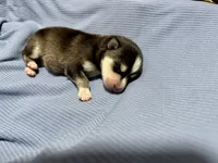 processed/c7d54862-b778-429e-9364-b1d4ef2a02d7/listing/42e6040c-00be-4f35-8dc8-ca9f8350c3f5/92a8647d-91e4-453c-9cc5-0400b6c91fcb